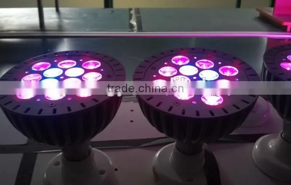 2016 Hot Sale Light Led Bulbs,e27 Stockt Par38 Plant Light,indoor Flower Light photo-3