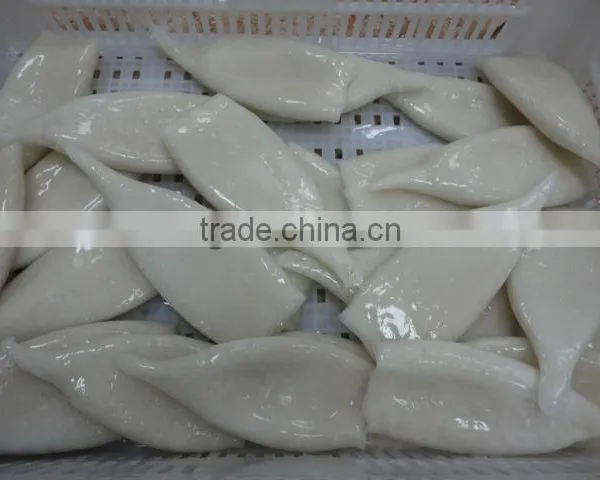 Frozen Squid Tube Todarodes Pacificus U7 U10 photo-2