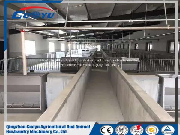 Galvanized Livestock Feeding Trough/Pig Chicken Farming Equipment/Automatic Trough for Sale photo-5