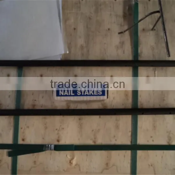 3/4*12" in Round Steel Nail Stake on Hot Sale photo-3