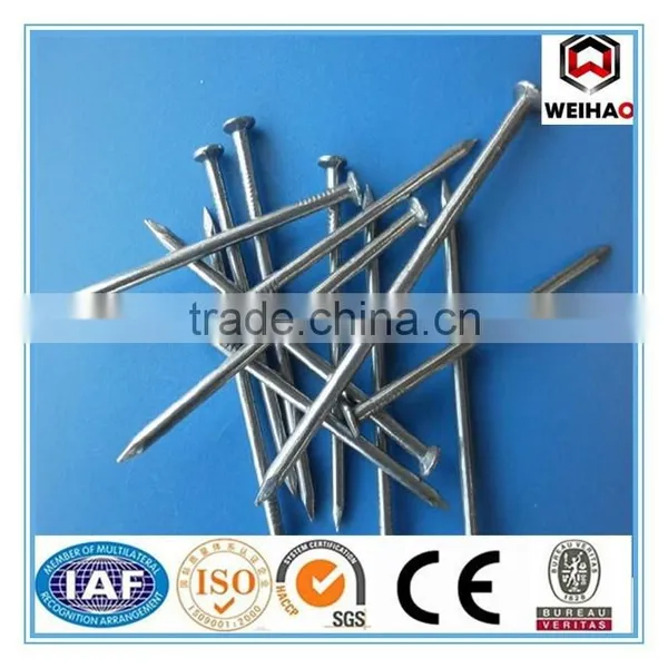 High Quality Common Round Iron Nails/Common Wire Nail photo-2