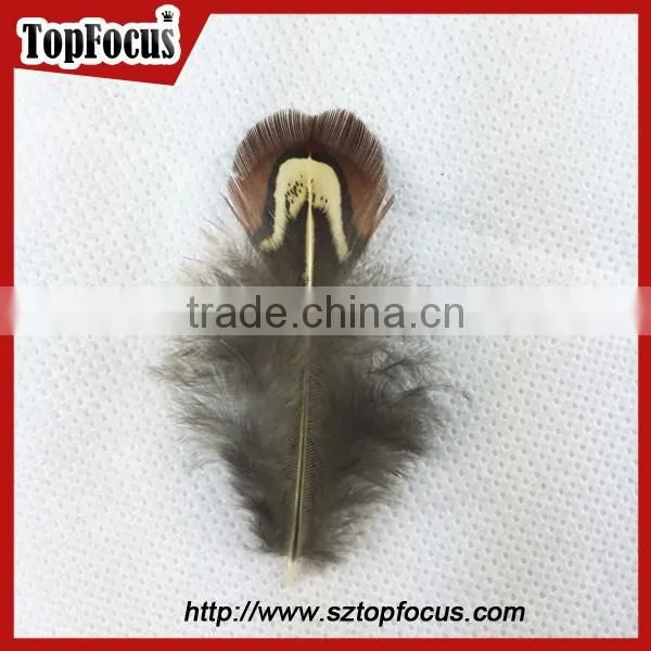 Lower Price Natural Synthetic Pheasant Feathers for Carnival Costumes photo-4