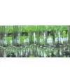 PE Thermo-shrink Film