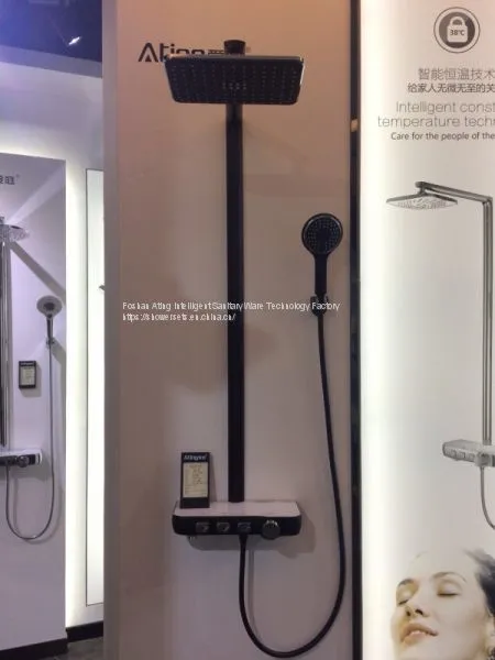 Shower Set With Bracket Foshan Supplier 2019 NEW Black Colour Luxury Rain Shower AT-P003B 3 Functions