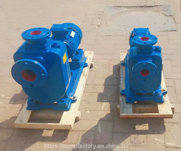 Professional Self-priming Sewage Water Pump photo-4