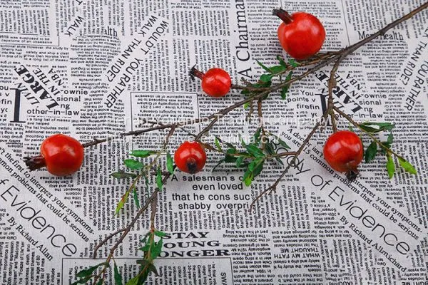 Wholesale Real Touch Berries 5 Heads Artificial Pomegranate Fruit With Branches photo-5