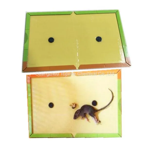 Pest Trap of Rat and Mouse Trap for Stick Mouse From Guangzhou Factory photo-2