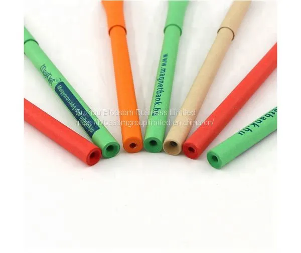Eco-friendly Recyclable Paper Pen photo-3