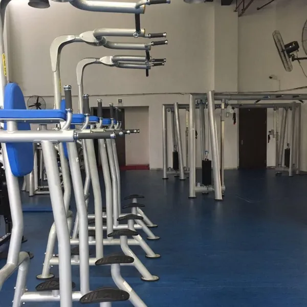 Fitness Tree Commercial Gym Equipment Vertical Leg Raise Machine photo-2