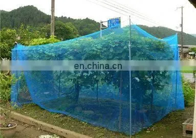Factory Direct 55gsm 65gsm 70gsm Anti Insect Screen Hdpe Greenhouse Agricultural Protect Insect Proof Mesh Fine Net photo-3