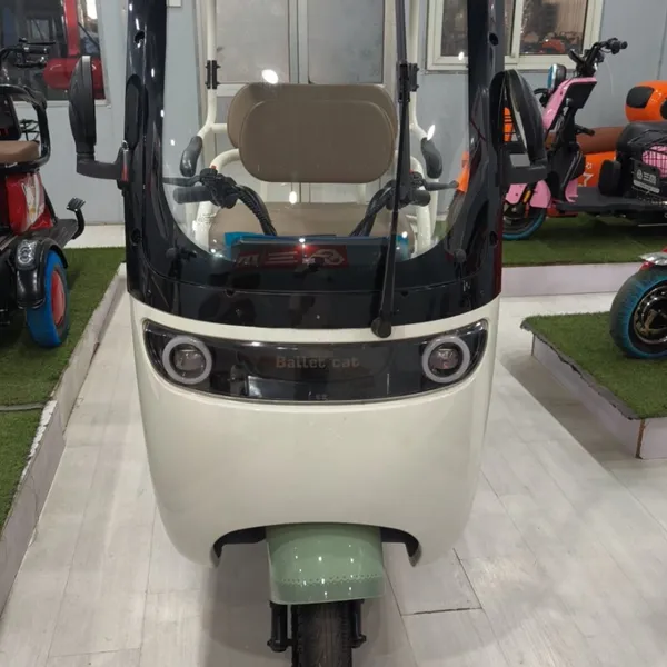 800W 1000W Three Wheels Leisure Electric Tricycle Rickshaw EV Mobility Scooter Motor With Cabin Tuk Tuk photo-2