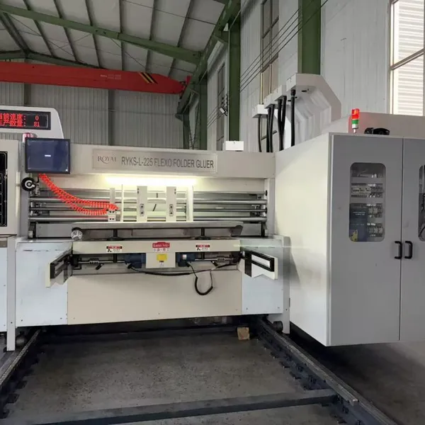 Economical 2 Color Flexo Printing Press photo-5