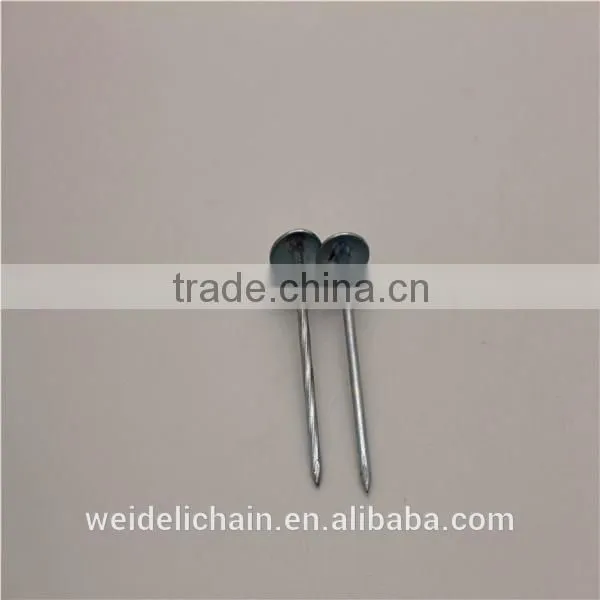 Factory Competitive Price Umbrella Head Roofing Nails photo-6