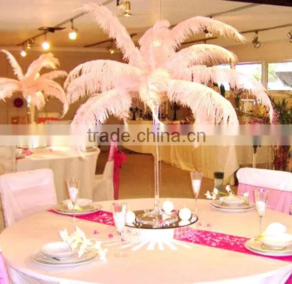 Best Price Natural Ostrich Plumes, Decorative Ostrich Feathers Wholesale photo-4