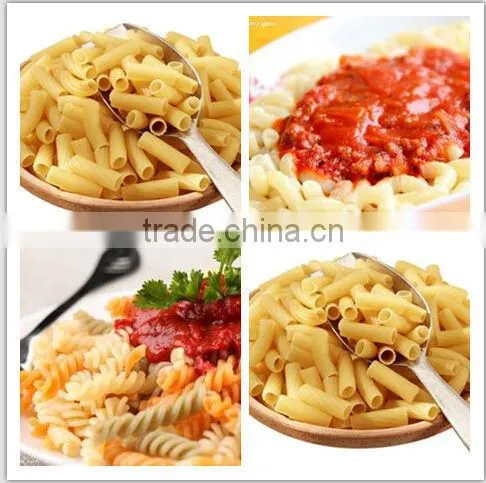 Hot Sale Low Price Fresh Pasta Machine Factory photo-3