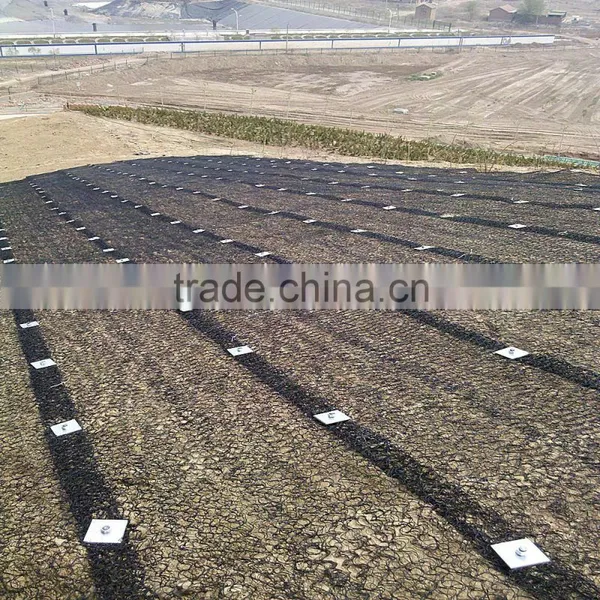 Plastic PP Sheet photo-3