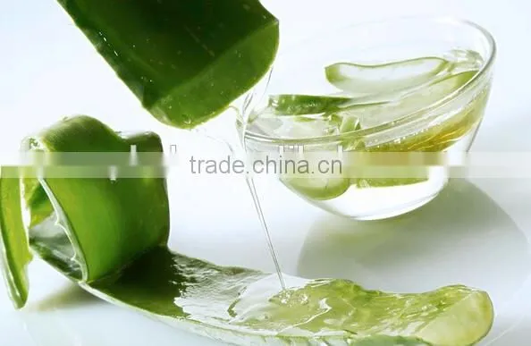 High Quality Aloe Juice Extractor Machine photo-5