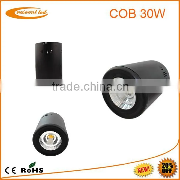 High Power Smd/cob Led Ceiling Light/ Cob Led Downlight 30w photo-6