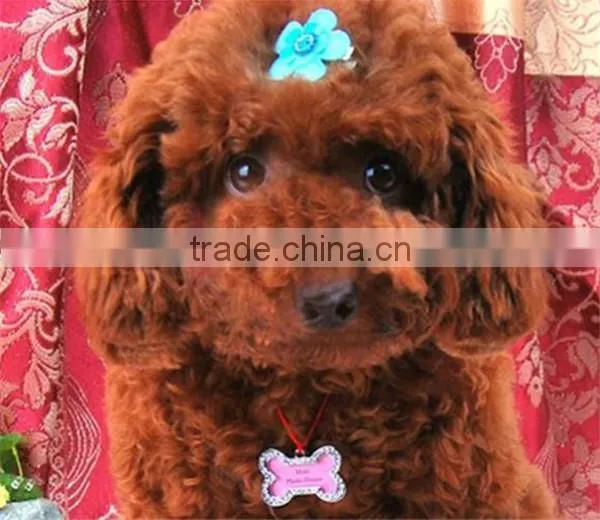 Necklace Pendant Charm Pet Dog Cat ID Tag photo-6