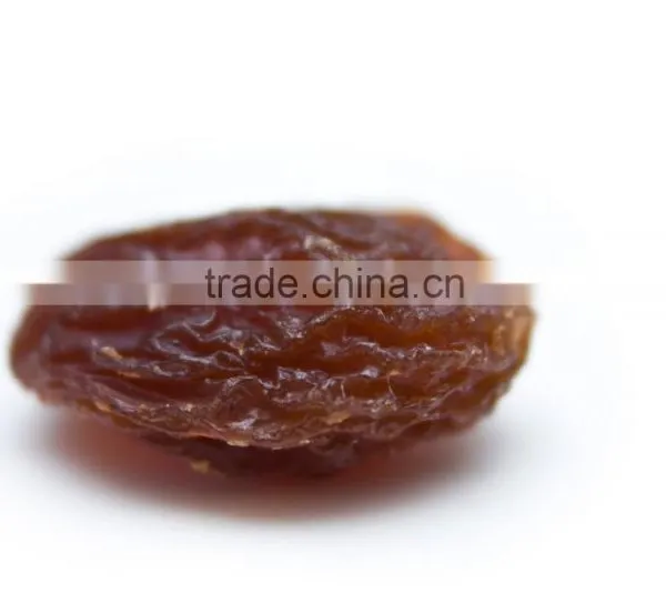 Golden Raisin
