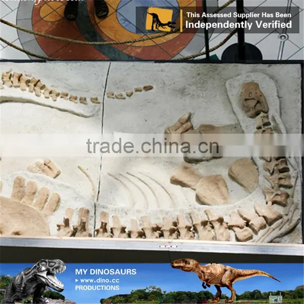 MY Dino-O11 Dinosaur Park Equipment Dinosaur Fossil Excavation Kit photo-4