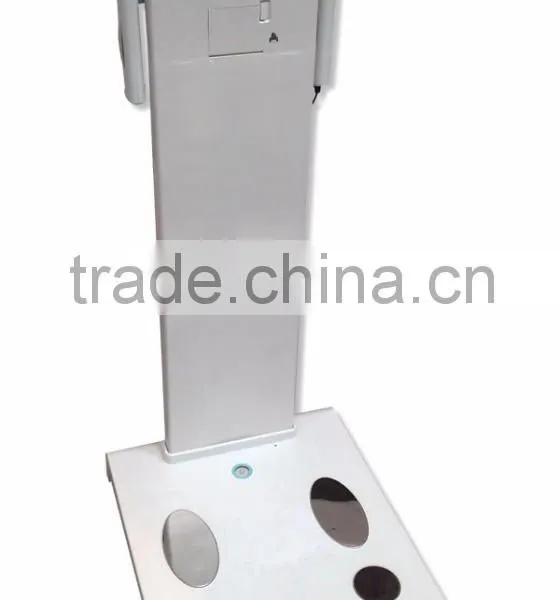 Lumsail Factory Price Body Composition Monitor for Body Analyzer photo-4