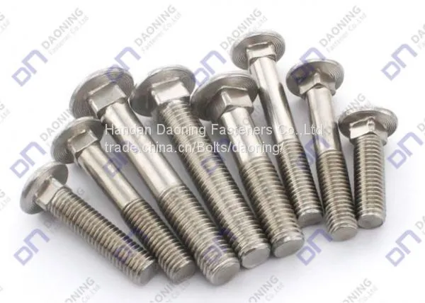 DIN603 Carriage Bolt photo-3
