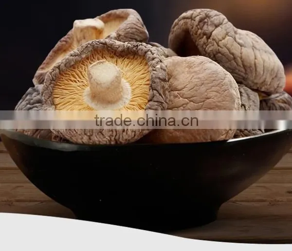 2016 Bulk Whole Organic Smooth Dried Shiitake Mushroom