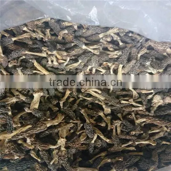 Dried Morel Mushroom Black Fungus Mushroom Market Prices for Mushroom photo-3