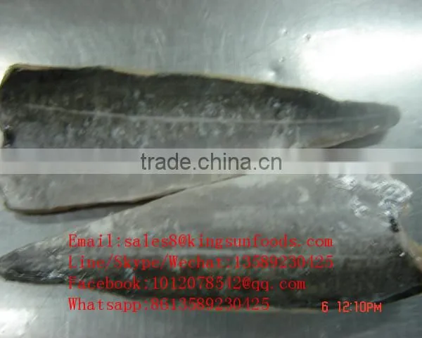 Light Salted Seafood Saithe Fillet on Sale Salted Saithe Fish photo-3