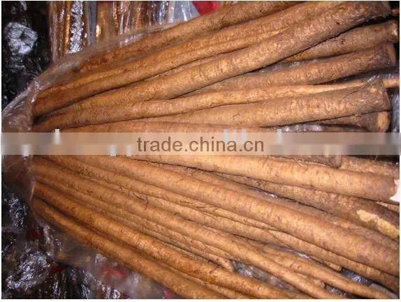 Supply Burdock Root P.E.