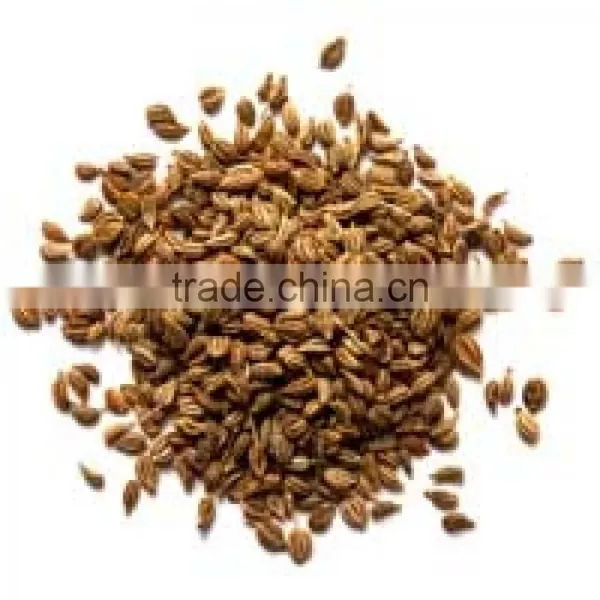 AJOWAN SEED 20% OIL photo-3