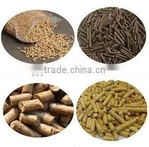 Biomass Rice Husk Pellet Machine / Used Sawdust Pellet Mill for Sale photo-4