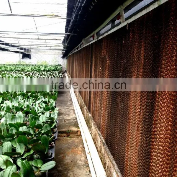 High Standard Wet Cooling Pad for Greenhouse photo-3