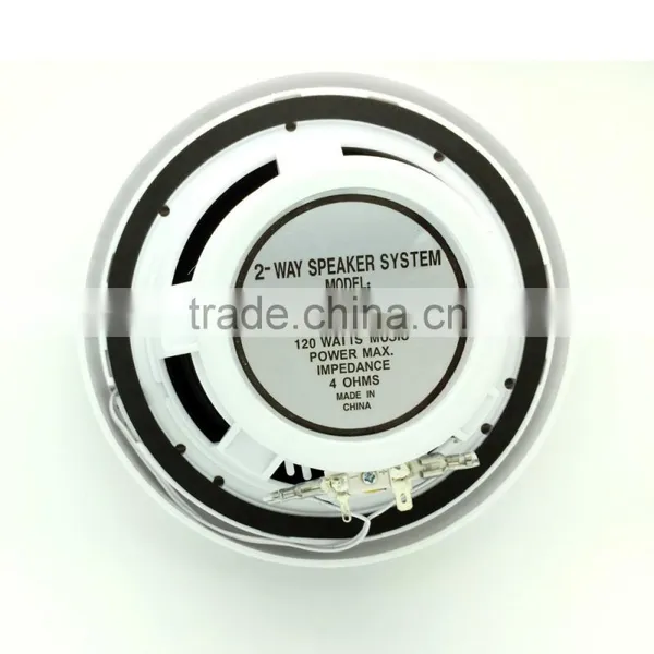 Waterproof Marine Outdoor Speaker for Pool,yacht photo-5