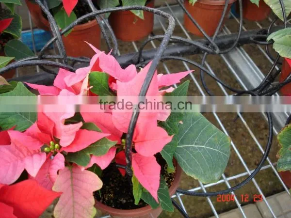 Irrigation System photo-4