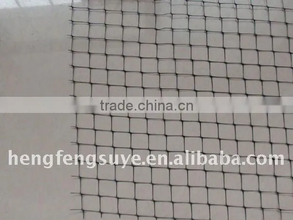 China High Quality Polyester Geogrid and Fiberglass Geogrid China Direct Factory photo-4