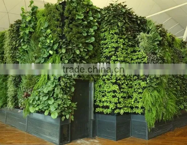 2016 Hot Sale Chinese Goods Wholesale Artificial Grass Wall photo-4