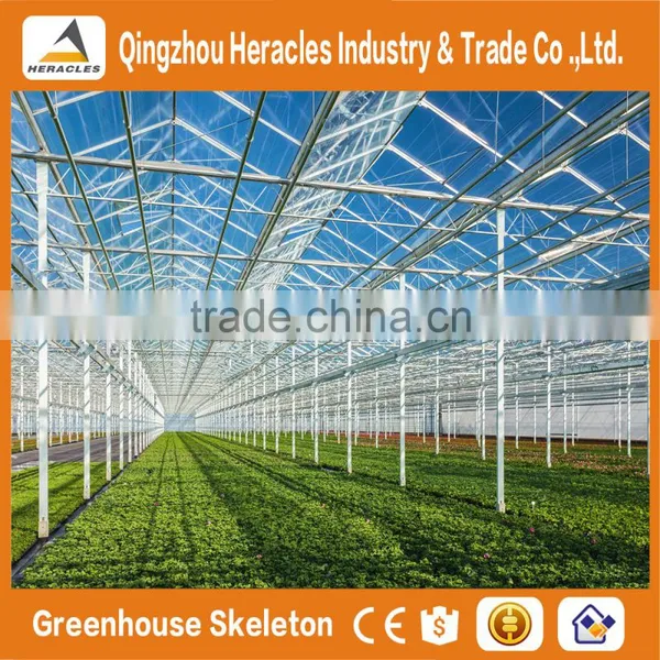 Heracles Trade Assurance Saw-Tooth Tropical Greenhouse photo-2