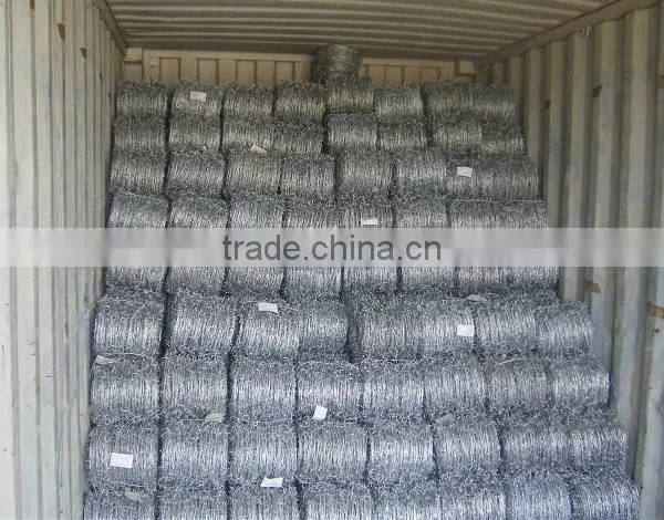 Cheap Price Electro/hot Dipped Galvanized Barbed Wire photo-6