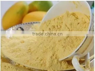 Hot Sales Instant Fruits Flavored Drinks Powder photo-6