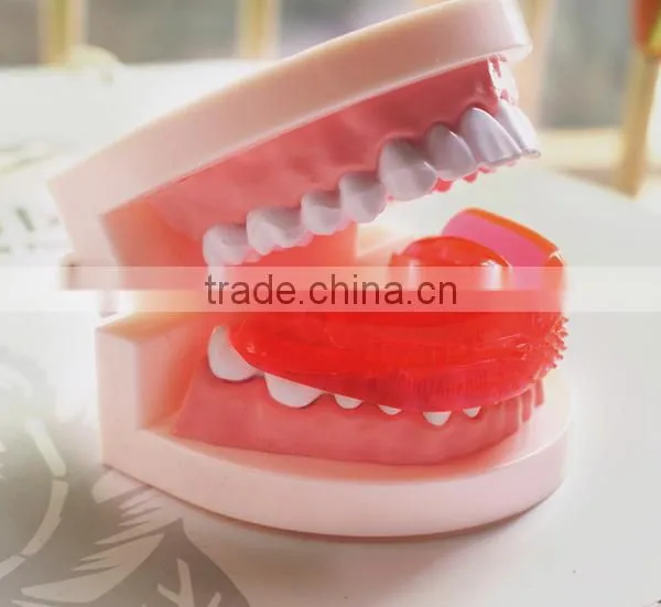 High Quality T4k Teeth Orthodontic Trainer Teeth Trainer T4A ,T4B, T4K, photo-2