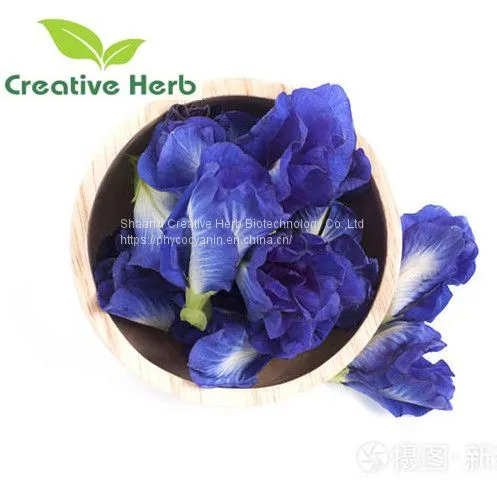 New food colorants natural (Clitoria ternatea L.) butterfly pea flower powder