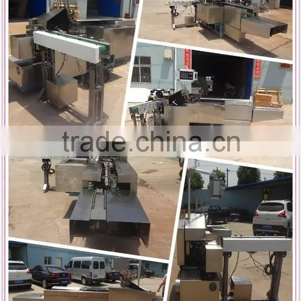 ZH-100 Automatic Bag/Sachet/Pouch Filling Carton Box Machinery For Coffee photo-2