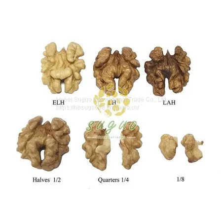Walnut Kernels  China Walnut Kernel Halves Exporter China Walnut Kernel Manufacturers