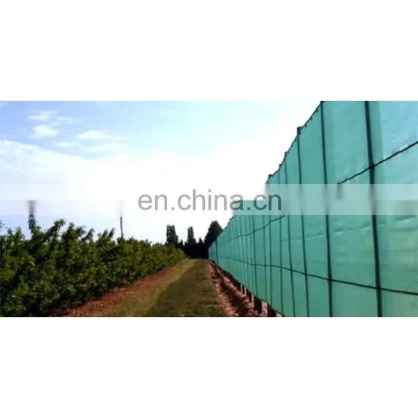 Agriculture HDPE Customized Anti Wind Net Garden Greenhouse Horticulture Plant Mesh photo-4