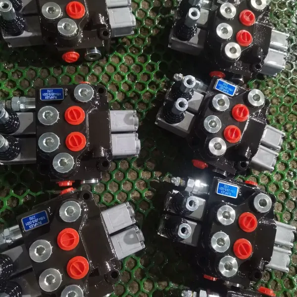 Mobile Control Valve Chinese Multi-way Reversing Valve DCV40/2-E1/210-S1C1A1-S4C1A1