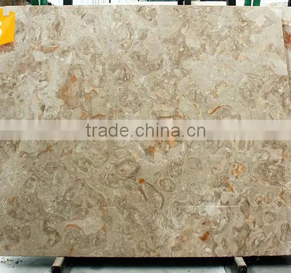 Natural Polished Oriental Pearl Marble Stone photo-4