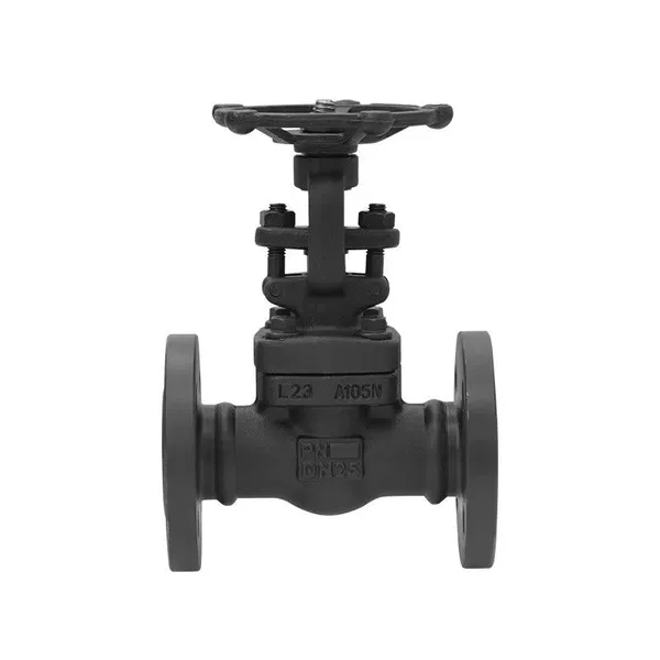 Forged Steel Flange Gate Valve Wedge Single Gate A105 Gate Valve