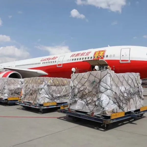 Air Freight/Freight Forwarding/China Import and Export photo-2